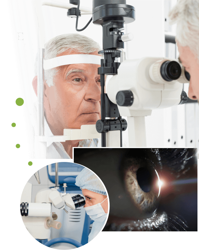 Retina e Vítreo - Hospital de Olhos Dr. Tannure